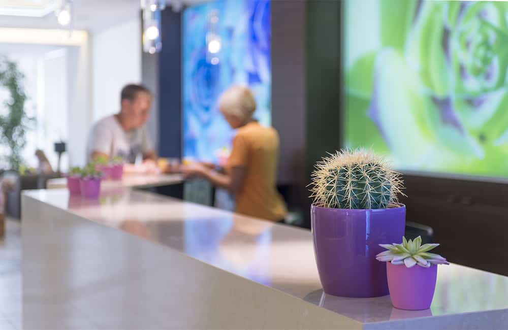 Kaktus Hotels